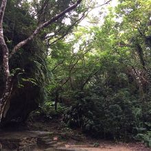 パワースポット！！という感じです。