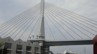 夜は全体がライトアップされます