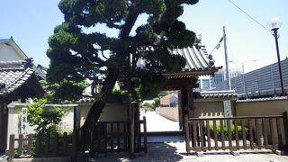 ういろう伝来の地です。