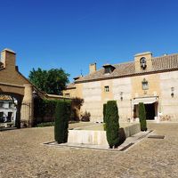 エントランスの庭