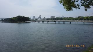 公園の中の大きな池です。