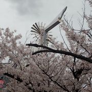 大府市の桜の名所