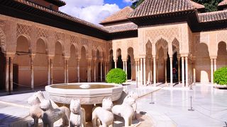 ライオンと言うには、ちょっと可愛すぎる。