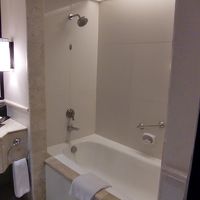 シャワーは据え付けタイプ