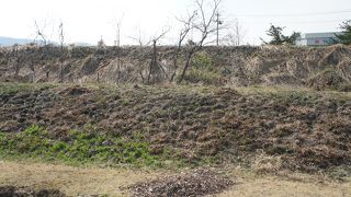 視界が開けて、美しい公園です