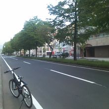 昼間の交通量が嘘のような、朝の裏参道の様子