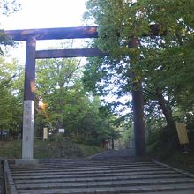 個人的には円山公園側からの参道が気に入っています