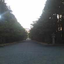 朝の表参道の様子