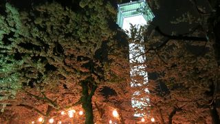 堀の外の桜を一部、夜桜ライトアップしている