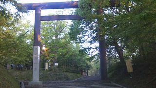 朝の神宮、特にお勧めです！