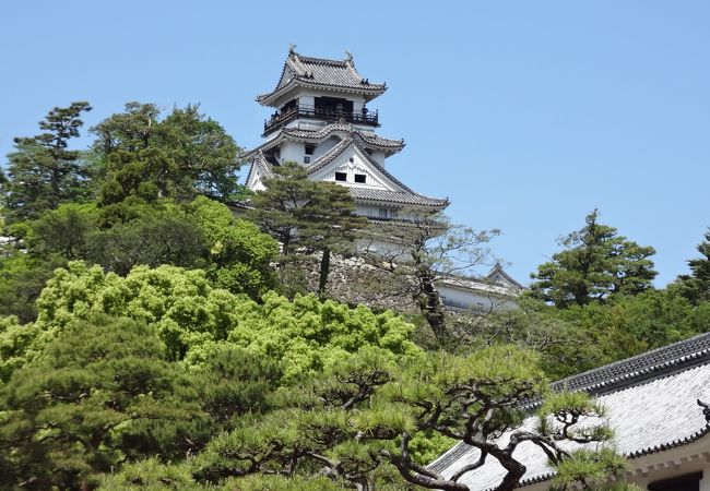 高知城 高知公園 クチコミ アクセス 営業時間 高知市 フォートラベル 高知城 高知公園 クチコミ アクセス 営業時間 高知市 フォートラベル