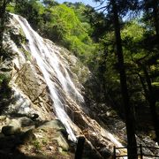 湯の山温泉から遊歩道を歩くとあります