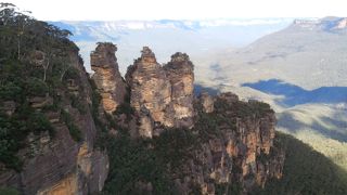 ジャマイカのブルーマウンテンと違った(笑)