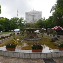 花壇があります