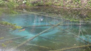 神秘的な透明感のあるエメラルドブルー