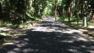 子連れにおすすめ