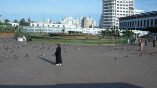 路面電車が走り、市民が憩う広場