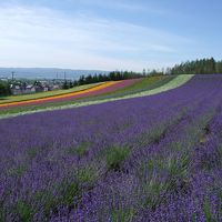 ホテルからは見えませんが。