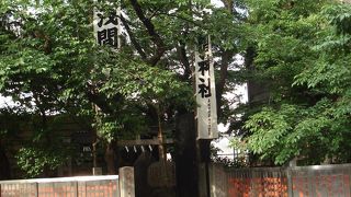 新宿に来て時間があったら……。