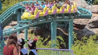 お魚フランダー