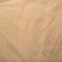 ありえない！シーツには靴で踏んだ汚れが３つもついてました