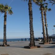 バルセロナには海水浴場があります！