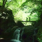 東京の癒し度満点スポット