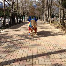 こんなお茶目な牛さんも。