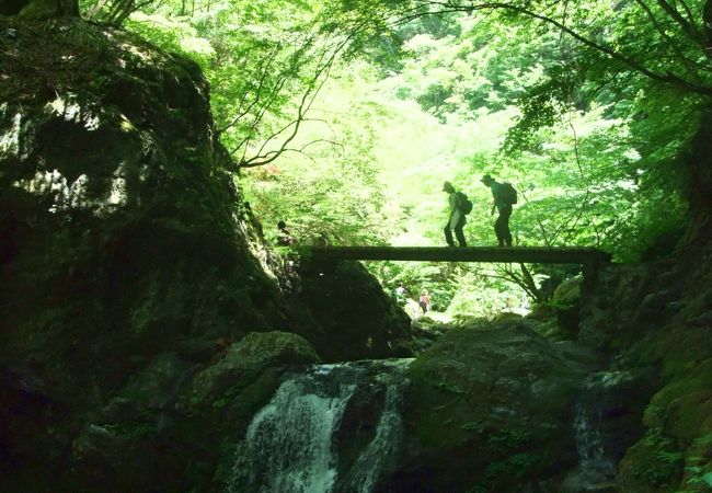 東京の癒し度満点スポット