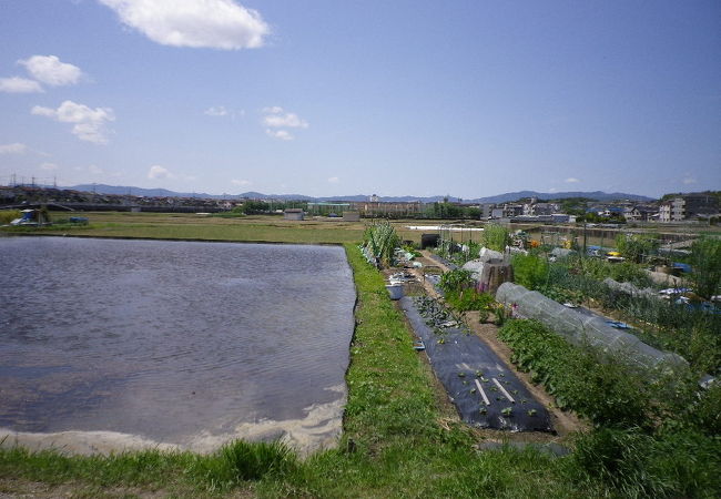 周囲には田園が広がっていた