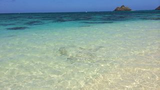 本当にきれい！