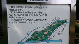 横浜　矢指市民の森に行ってみた！