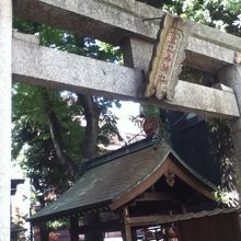 親しみある神社