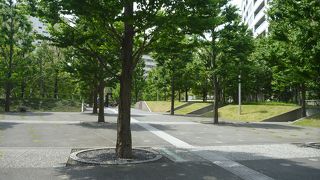 ビルとビルの合間の緑地