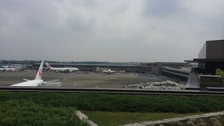 金網がなければ…