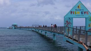 水の中に入らなくても魚がみれます