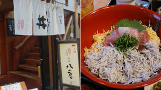 旬のしらす丼はぶれない味