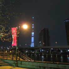 ベストアングル