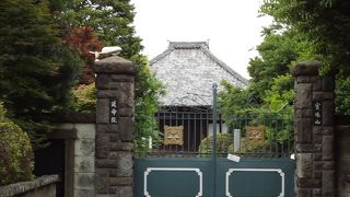 椎の大木があります