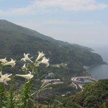 標高差のあるダイナミックな島です。