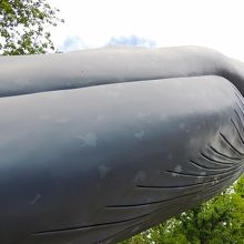 外に展示してあるシロナガスクジラの像、近くで見ると迫力満点！