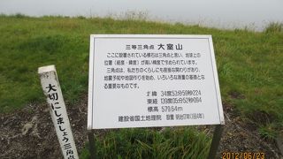 可愛らしいお山