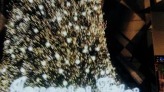 日本人にはこちらのほうがなじみがあるかも。