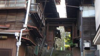 本郷・菊坂周辺を散歩してみませんか？