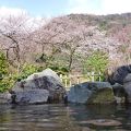 １週間後なら、桜満開か！