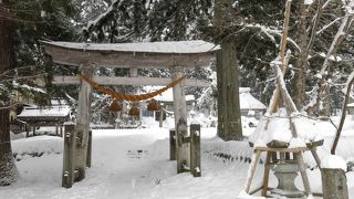 雪化粧した神社