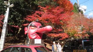 紅葉もいいですよ