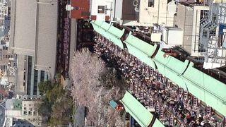 東京の観光ではここは外せない♪