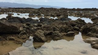 岩場です。小さな子供にはきついです。