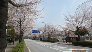 横浜の観光スポット